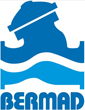 BERMAD Logo